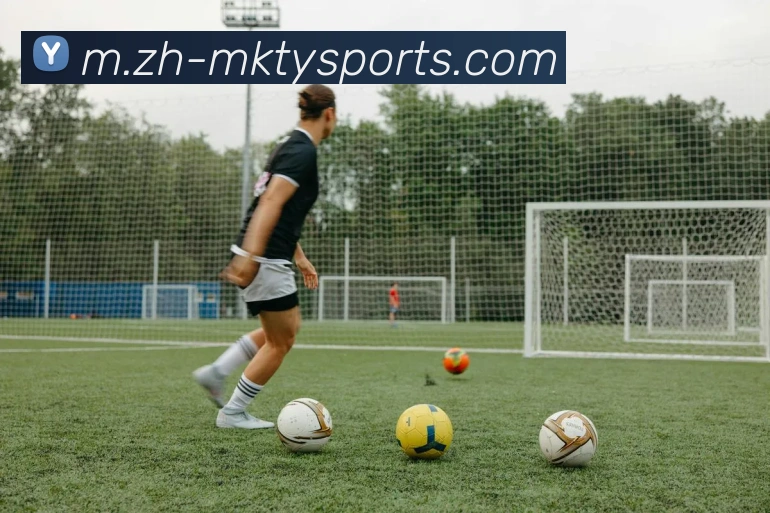 球赛投注平台生态图